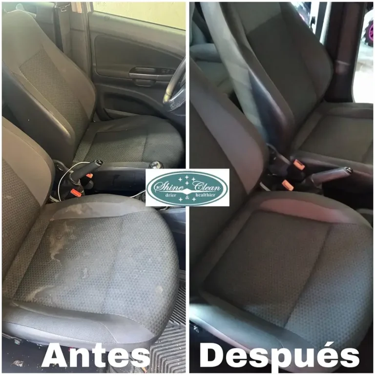 limpieza de autos culiacan