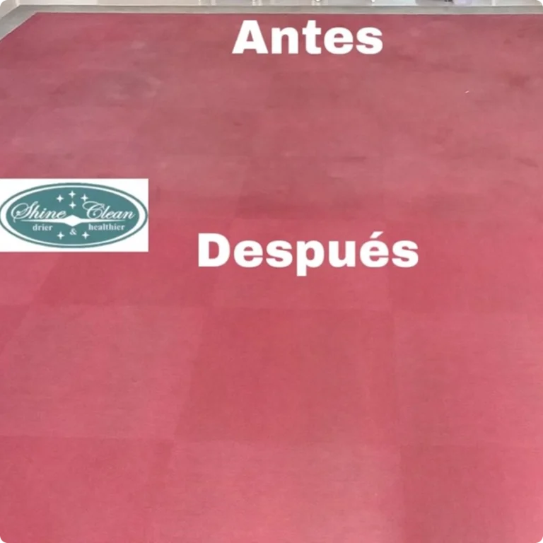 limpieza de alfombras culiacan